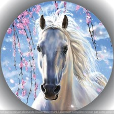 Cheval.   Décoration de
