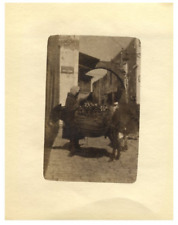 Tunisie, âne porteur Vintage silver print  Tirage argentique mat  6x8  Cir