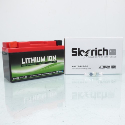 Batterie lithium skyrich - batterie,