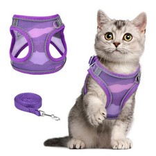 Harnais Anti-Fugue pour Chat