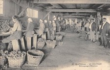 CPA 17 ILE D'OLERON / LE CHATEAU / DETROQUAGE D'HUITRES