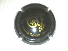 Capsule de Champagne