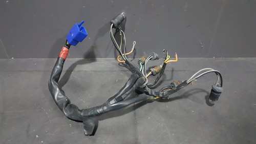Faisceau electrique compteur - faisceau,