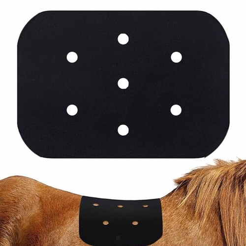 Tapis selle feutre pour - de,