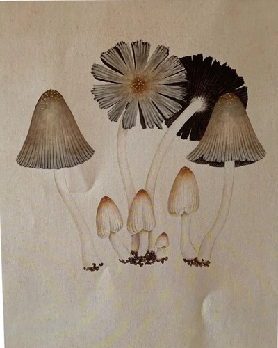 Affiche illustration - affiche,