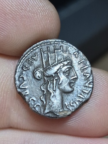 244 plautius denier - plautius,
