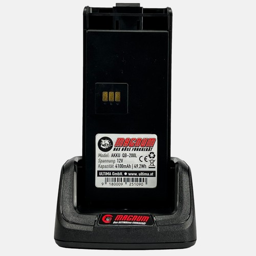Batterie rechargeable pour