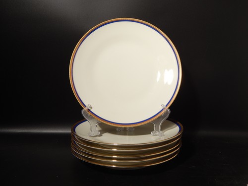 Vintage richard ginori service - richard,