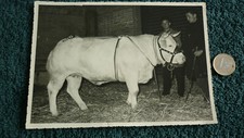 PHOTO   / CONCOURS AGRICOLE
