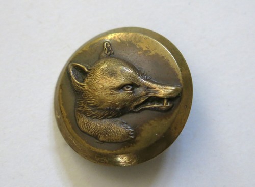 Renard très beau bouton - beau,