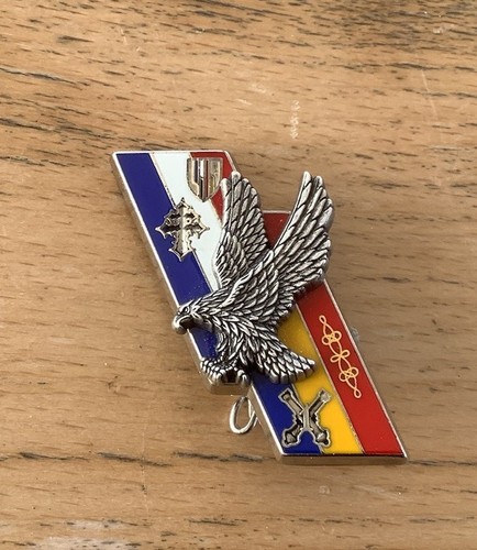 Insigne metal 110 - metal, ri