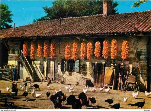 Carte postale ain - 01,