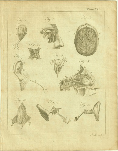Rare gravure 18e siècle - gravure,