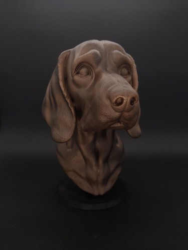 Buste beagle statue - -, chien