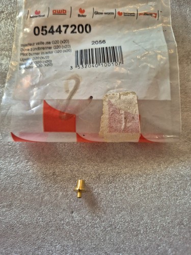 Injecteur veilleuse - injecteur,
