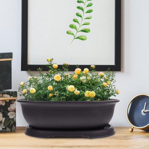 Pot culture avec plateau - culture,