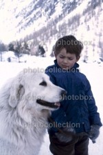 * Mehdi -  Exclusive RARE 20x30cm PHOTO N 004* CECILE AUBRY