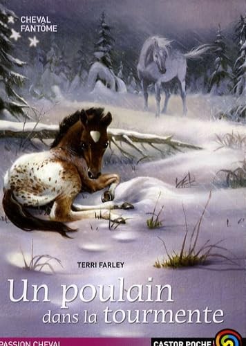 Cheval fantome un - fantome,