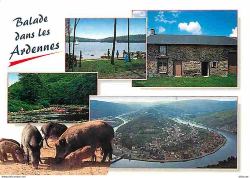 Carte postale ardennes - 08,