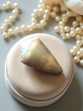 Petit coquillage ancien vintage décoratif collection curiosité mer d’occasion