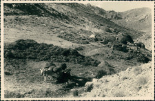 Espagne, Attelage d'un âne au travail, ca.1952, Vintage silver print Vintag