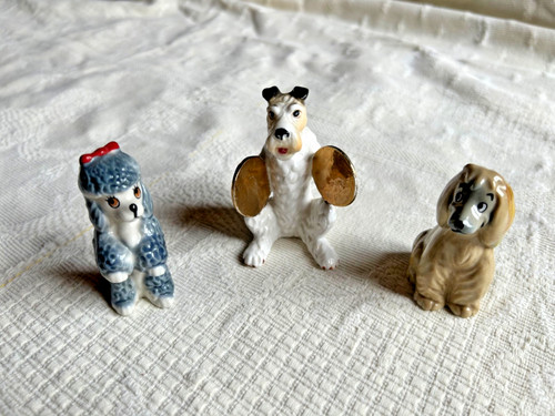 Groupe chiens en - 3,