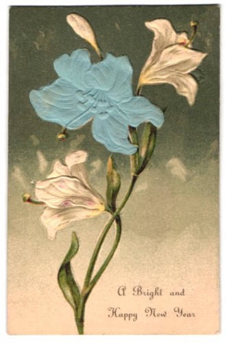 Carte postale gaufrée - , en
