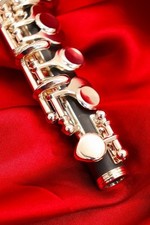 Pearl PFP-105ES [Nouveau] [Piccolo] [Perle] [Made by Granaditte]...