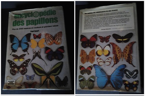 Encyclopédie des papillons - des, papillons"