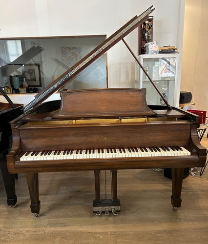 Steinway grand piano - o, 5'10