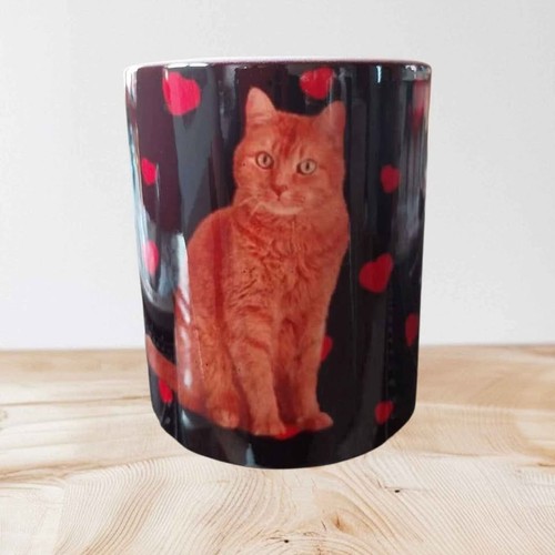 Mug chat entouré coeurs - mug,