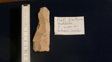 SILEX  NEANDERTAL "POINTE