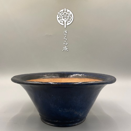 Pot bonsái japonais - pot,