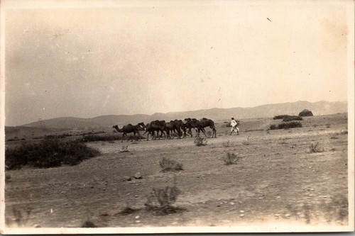 Algérie caravane dans le - algérie,,