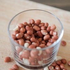 Arachide Décortiquées