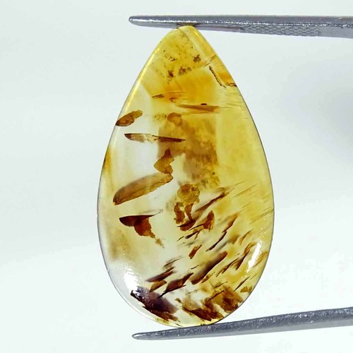 Cts agate montana - 09.10,