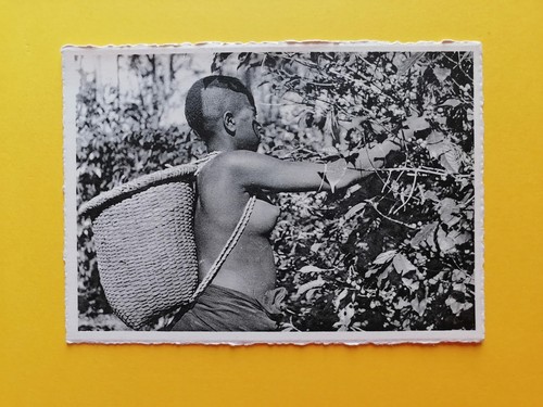 Afrique jeune fille - afrique,