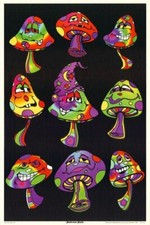 Champignon Manie Affiche 24x36 - 2430