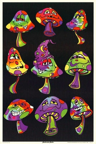 Champignon manie affiche - manie, 24x36