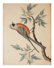 Art mural élégant pour