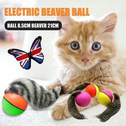 Electric_Beaver_Weasel_Rolling