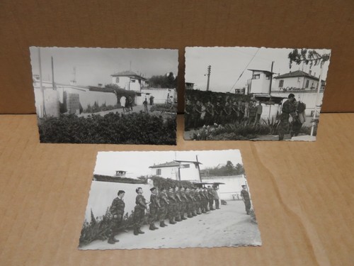 Guerre algerie 3 - guerre,