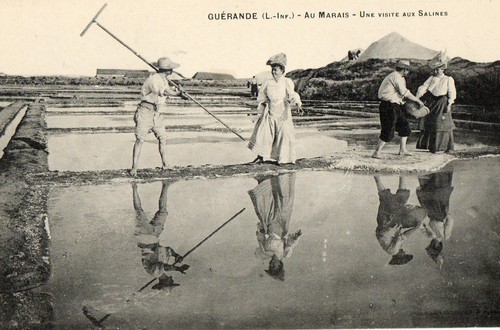 Guerande marais salant - guerande,