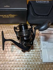 Daiwa morethan Branzino 3000