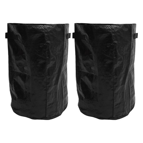 2pcs pomme terre - de, sacs