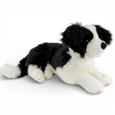 Carl Dick Border Collie