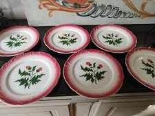 PEXONNE 6 x ASSIETTE DESSERT Motif Chardon et chantournée.Rouge et Verte