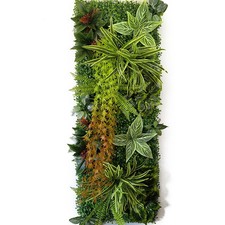Mur végétal plantes - mur,