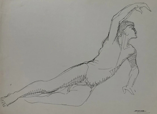 Superbe masculin drawing - superbe,