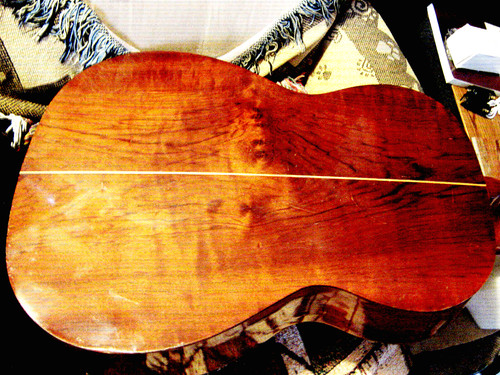 Giannini awn classical - giannini,